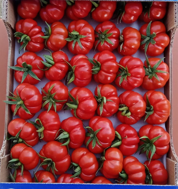 Seminte de tomate MARMO F1 - 100 sem